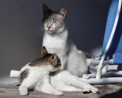 Mom and daughter