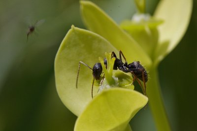 2010_03_17_MG_4168.jpg