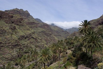 Hiking towards Lomo del Gato