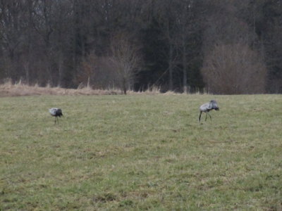 IMG_2848_1.JPG