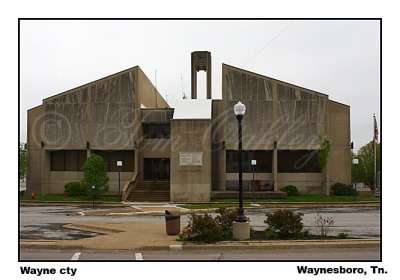  Wayne county