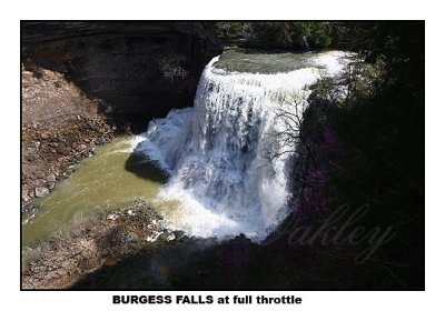 IMG_8857  Burgess falls