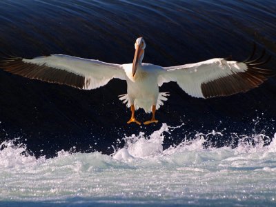 Landing Approach