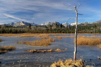 Frozen Pond 2
