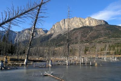 Yamnuska Beaver Ponds 4