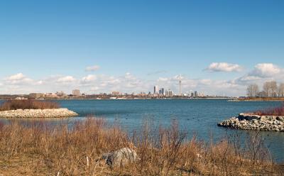 Toronto Cityscape