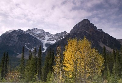 Autumn on the Icefields Parkway