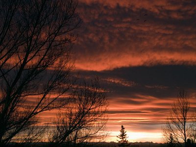January Chinook Sunset
