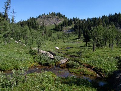 Alpine Meadow Stream