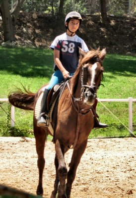 Speeding to the horse  track.JPG