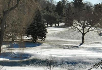A Golf Course Under Snow 2.JPG