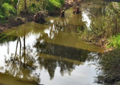 Reflections In The River.JPG