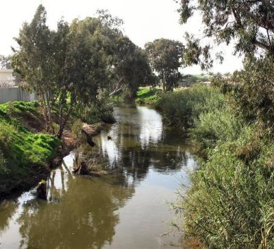 The River n. Ramat Gan.JPG