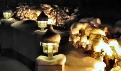 Snow Cover At A Garden In Tyrol - Austria.JPG