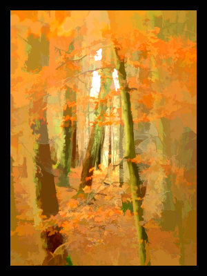 woods art .jpg
