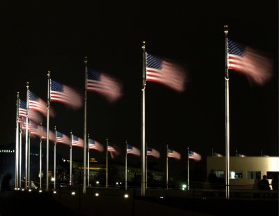 US Flags around the Washington Monument
