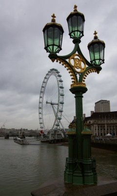 IMGP3970.jpg