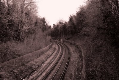 IMGP4020.jpg