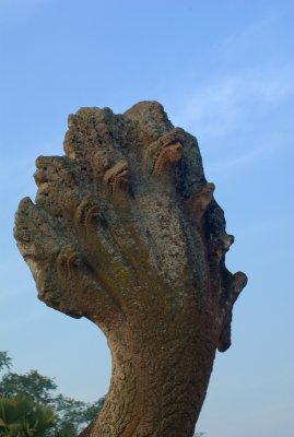IMGP4392.jpg