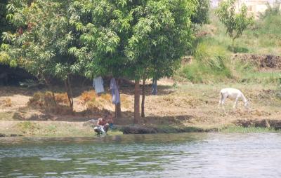 IMGP3054.jpg