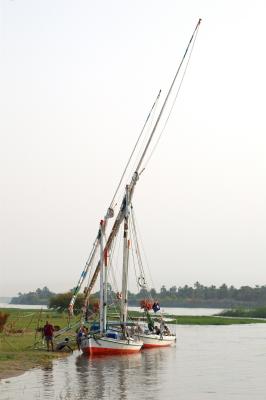 IMGP3082.jpg