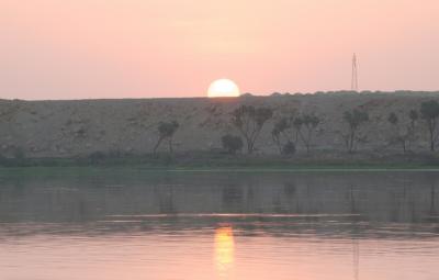 IMGP3126.jpg