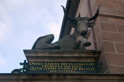 IMGP3929.jpg