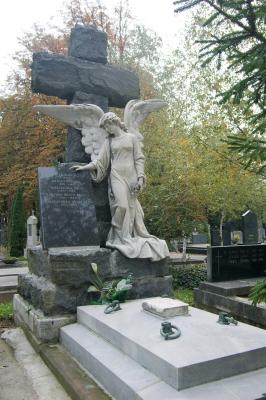 IMGP4526.jpg