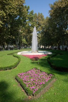 IMGP4480.jpg