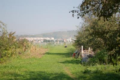IMGP4534.jpg