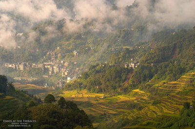 Dawn at the Terraces CRW_1916.jpg