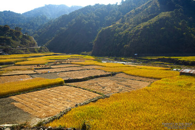 Harvest in the Hills _MG_0391E.jpg