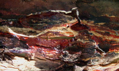 DSCF0014_1.jpg