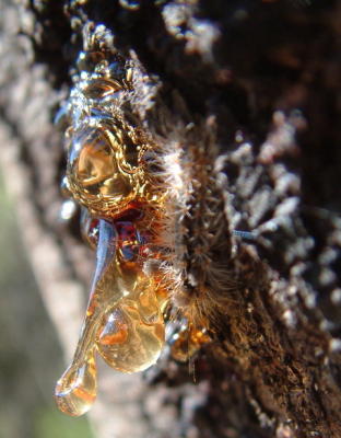 DSCF0030_2.jpg