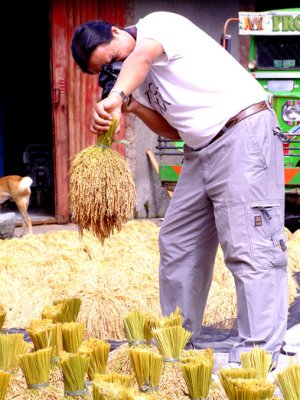 Mario Shoots Rice Handheld by noli