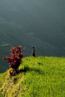 Banaue_6