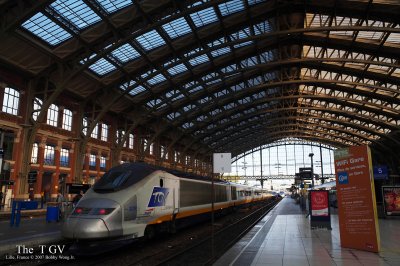 The TGV _MG_1477EWP.jpg