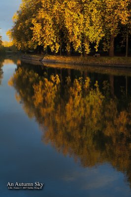 An Autumn Sky _MG_3722WP.jpg