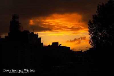 Dawn from my Window _MG_3687WP.jpg