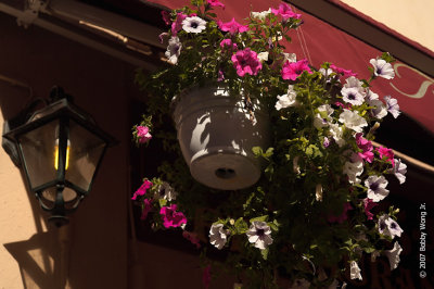 The Streets of Aix-en-provence