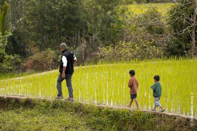 The Rice Terraces of Ifugao