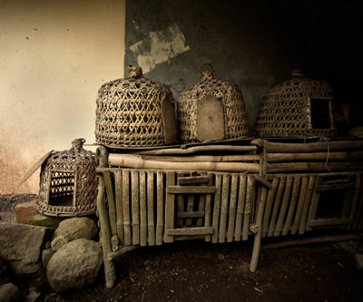 RaulEchivarre-_MG_9144 25pct.jpg