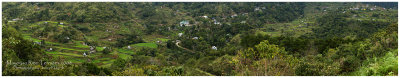 JunUy-IMG_6694w.jpg