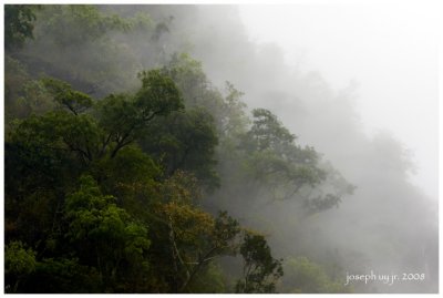 JunUy-IMG_4364.jpg