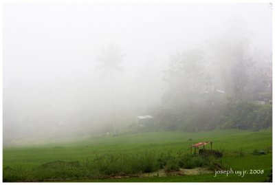 JunUy-IMG_4445.jpg
