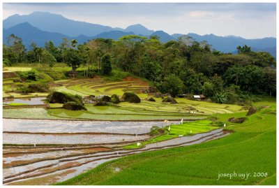 JunUy-IMG_4691_1.jpg