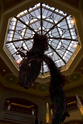 IMG_3043.jpg