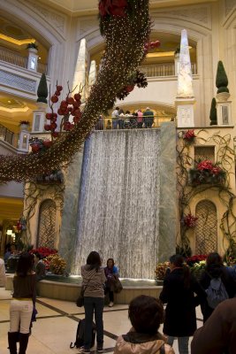 IMG_3045.jpg