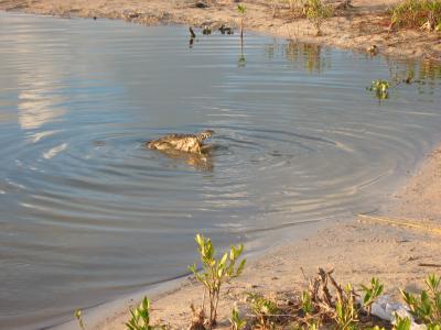 Ambergris Caye 054.jpg