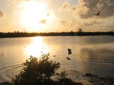 Ambergris Caye 061.jpg